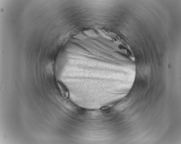 X0000088720286200706141621