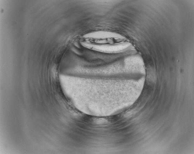 X0000088720287200706141621