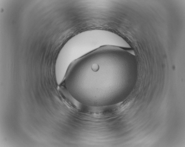 X0000088720288200706141621