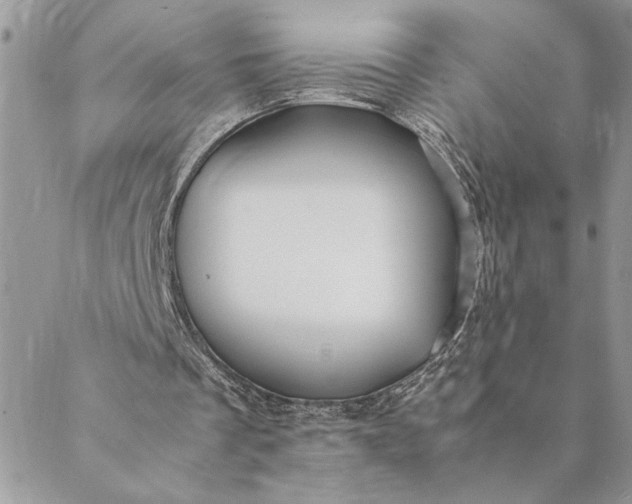 X0000088720289200706141620