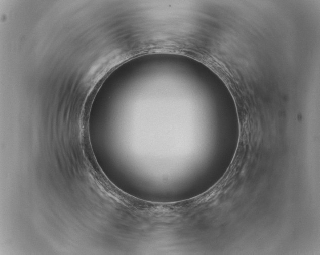 X0000088720290200706141620