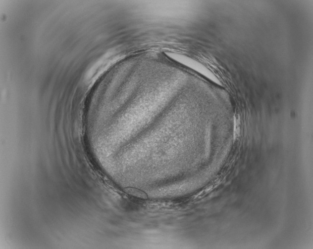 X0000088720291200706141620