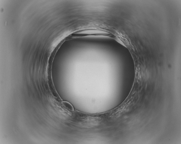 X0000088720292200706141620