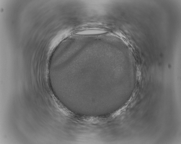 X0000088720293200706141620