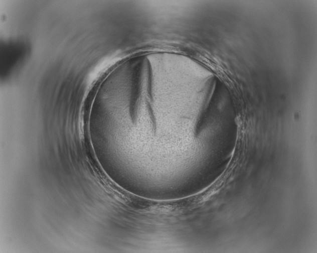 X0000088720294200706141620