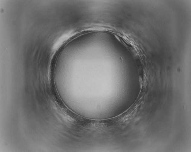 X0000088720296200706141620