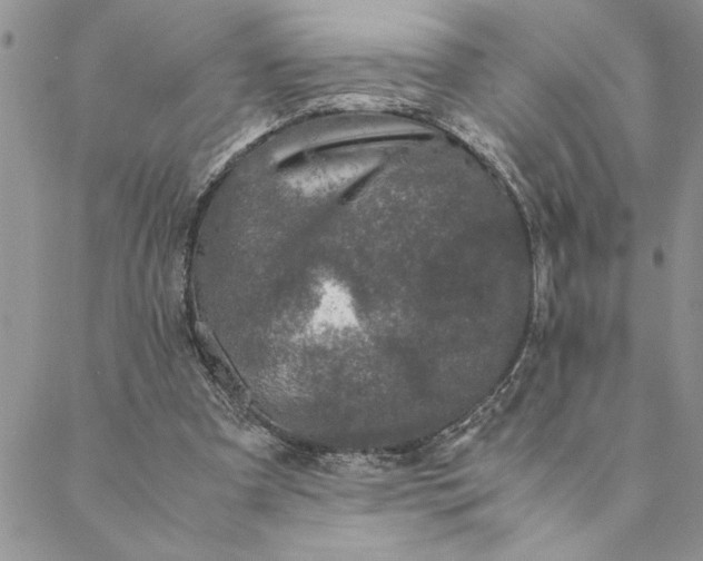 X0000088720297200706141620