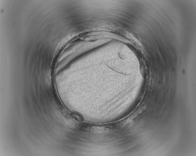 X0000088720298200706141620