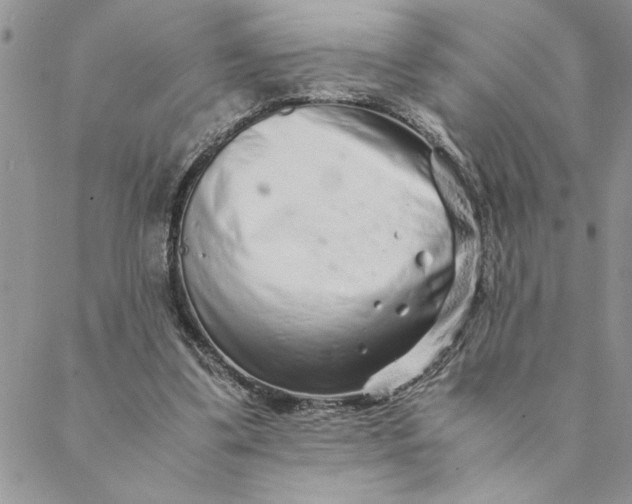 X0000088720299200706141620