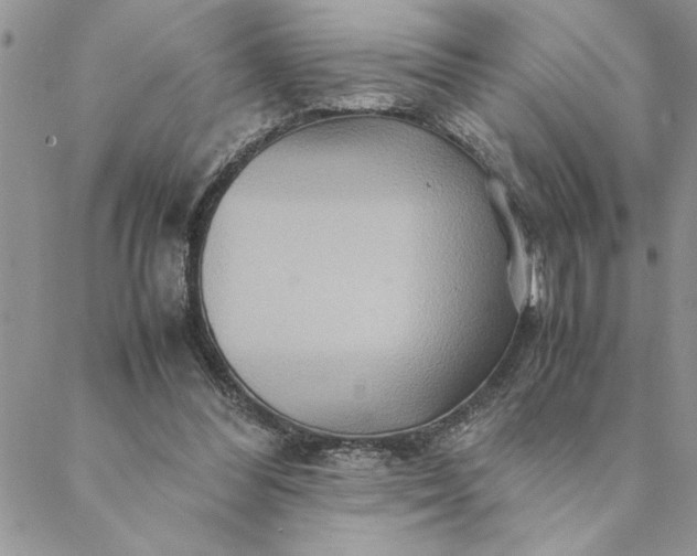 X0000088720300200706141620