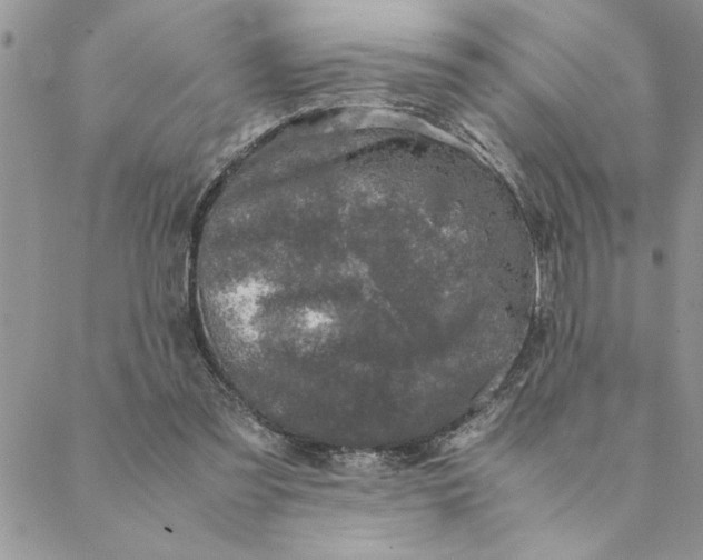 X0000088720301200706141620