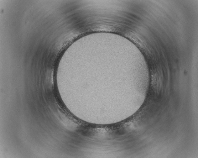 X0000088720302200706141620