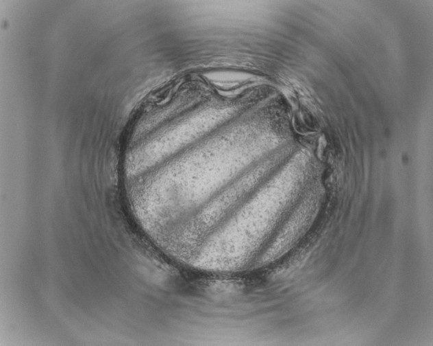 X0000088720303200706141620