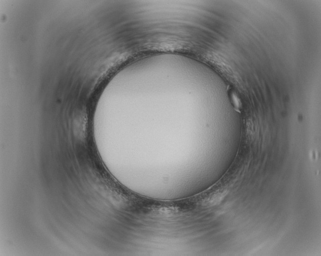 X0000088720304200706141620