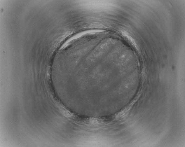 X0000088720305200706141620