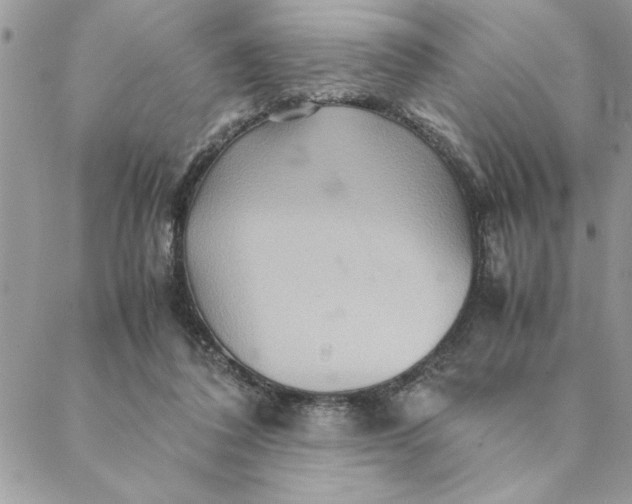 X0000088720308200706141620