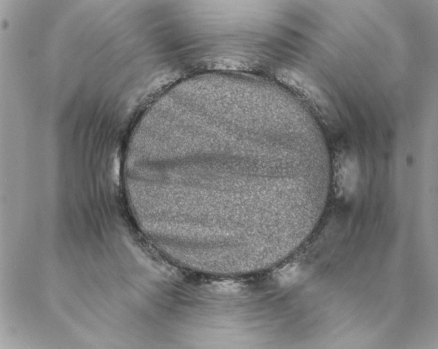 X0000088720310200706141620