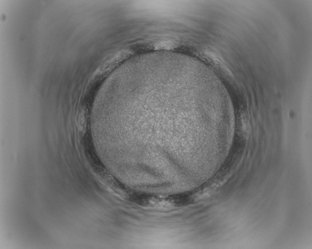 X0000088720311200706141620