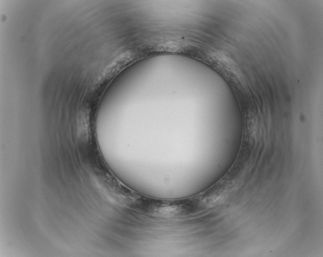 X0000088720312200706141620