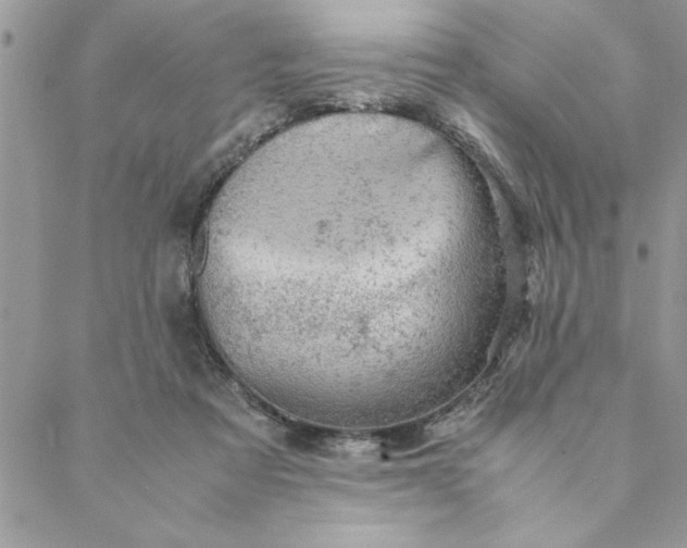 X0000088720313200706141620