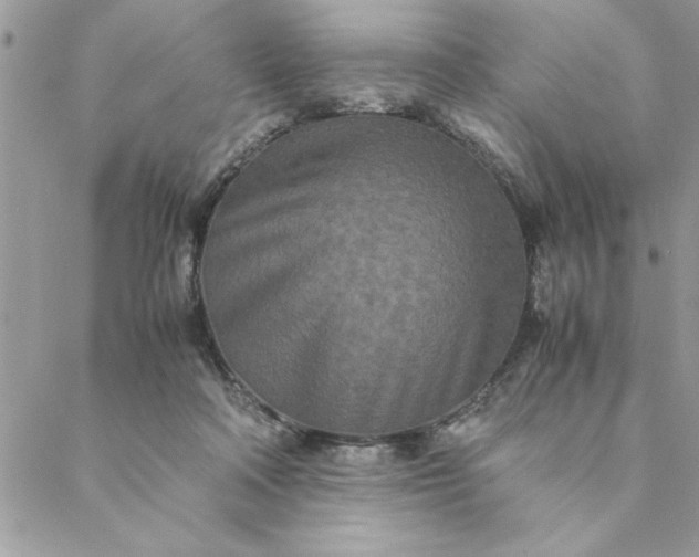 X0000088720314200706141620