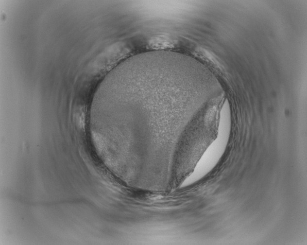 X0000088720315200706141620