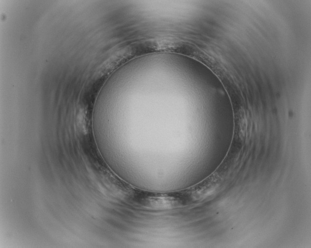 X0000088720316200706141619