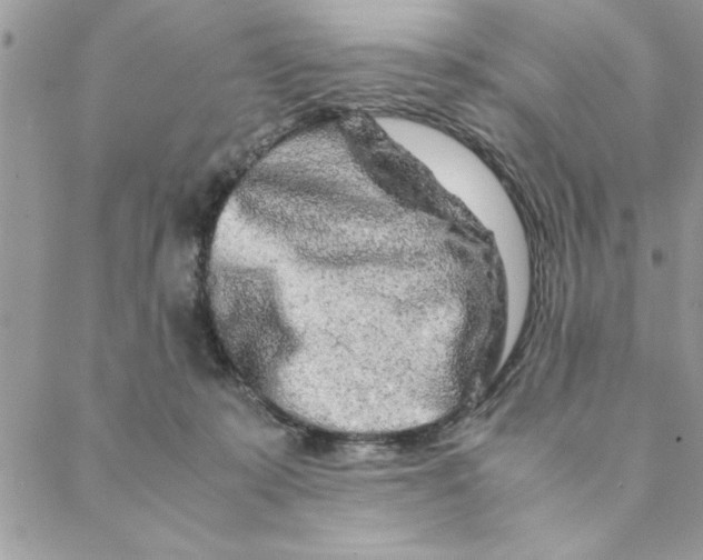 X0000088720319200706141619