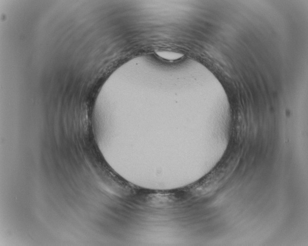 X0000088720320200706141619