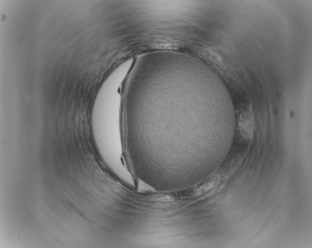 X0000088720322200706141619