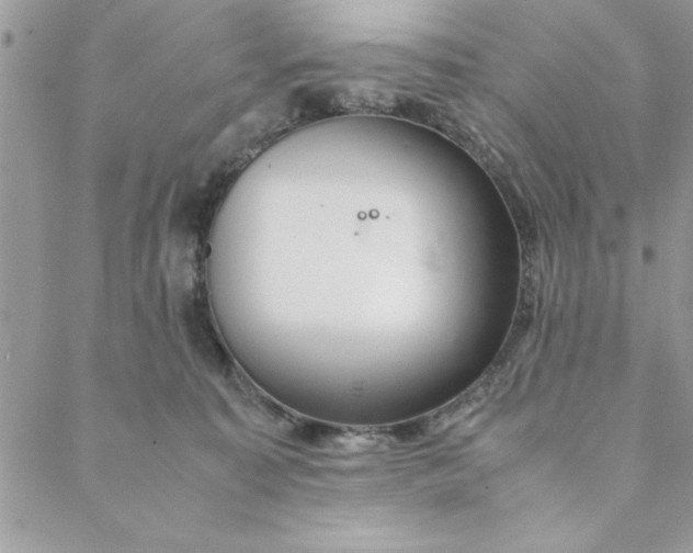 X0000088720323200706141619