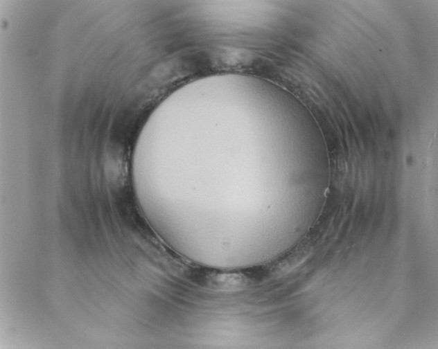 X0000088720324200706141619