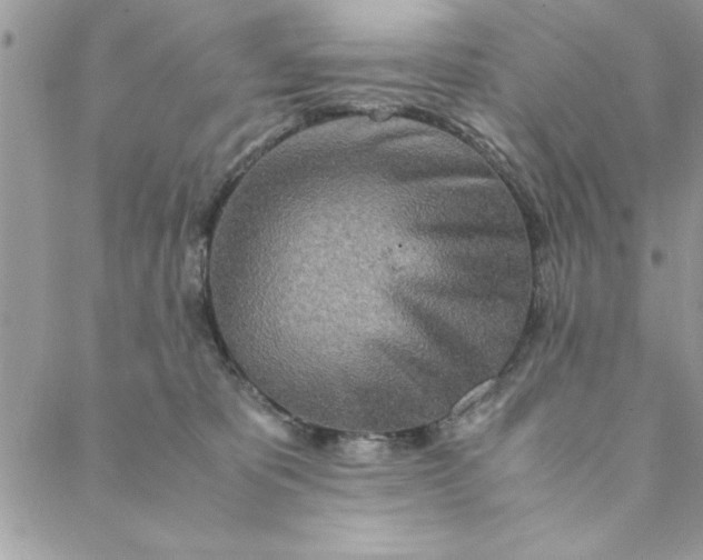 X0000088720325200706141619