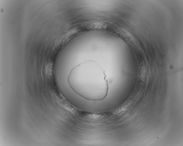 X0000088720326200706141619