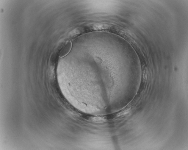 X0000088720327200706141619