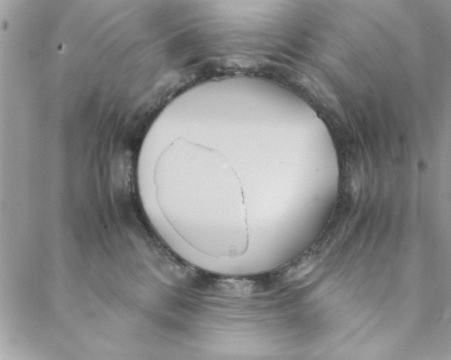 X0000088720328200706141619