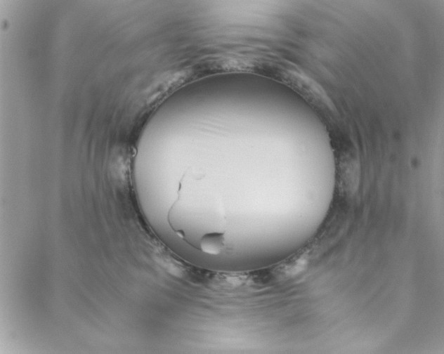 X0000088720329200706141619