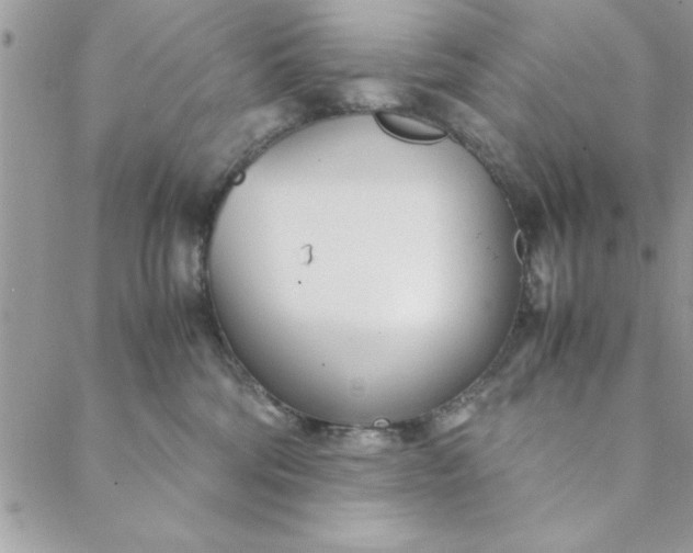 X0000088720330200706141619