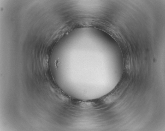 X0000088720332200706141619