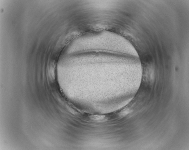 X0000088720334200706141619