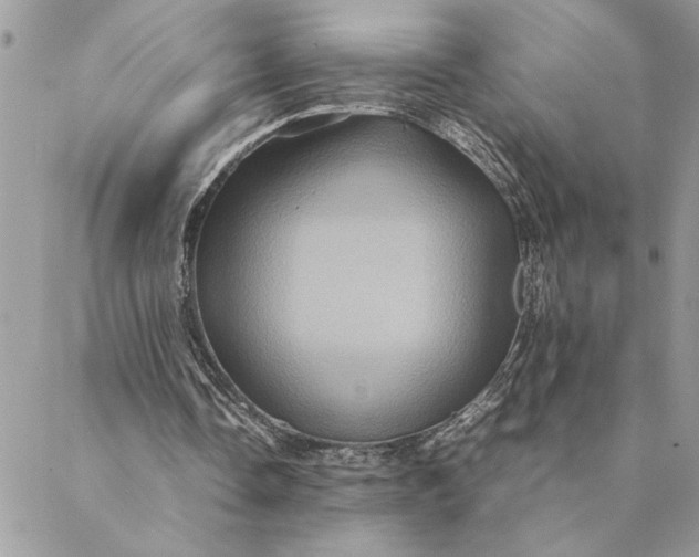 X0000088720338200706141618