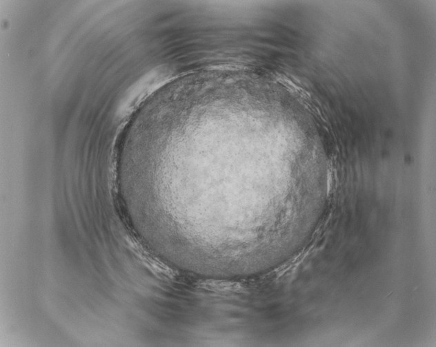 X0000088720339200706141618