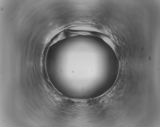 X0000088720340200706141618