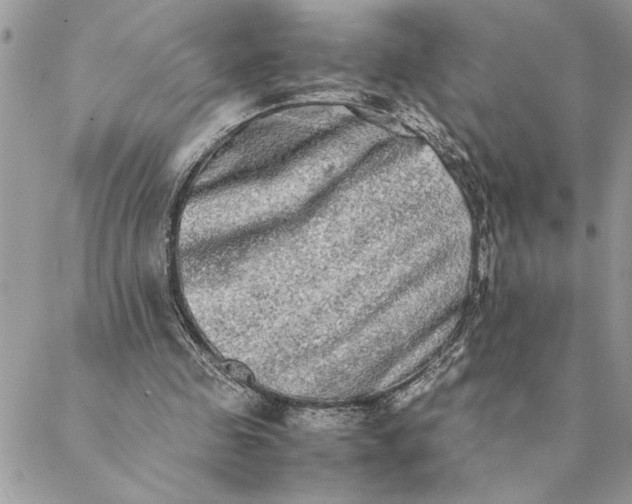 X0000088720341200706141618