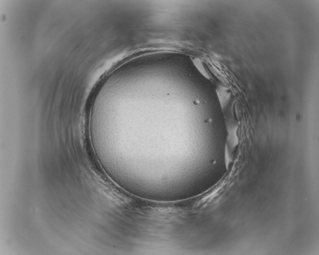 X0000088720342200706141618