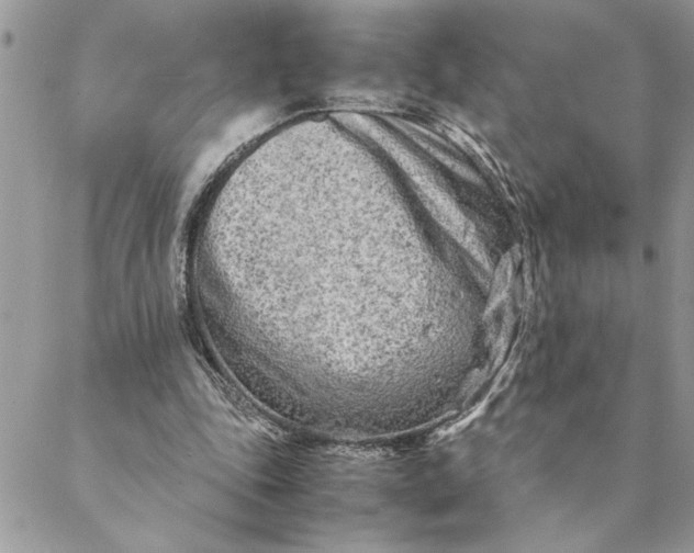 X0000088720343200706141618