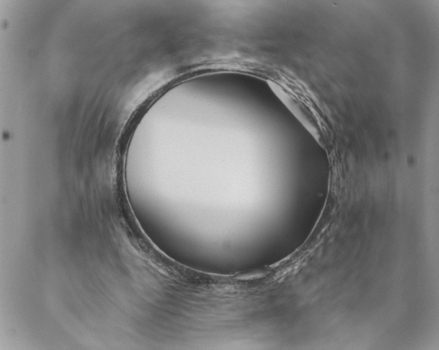 X0000088720344200706141619