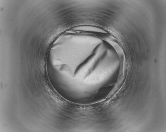 X0000088720345200706141619