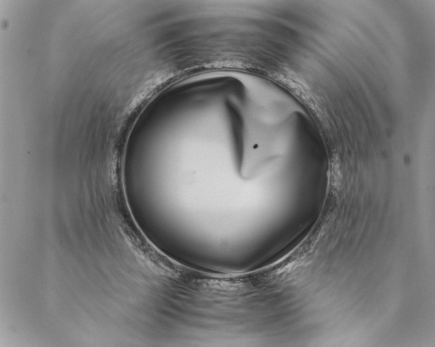 X0000088720347200706141619