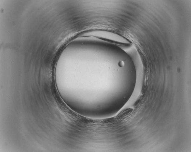 X0000088720348200706141619